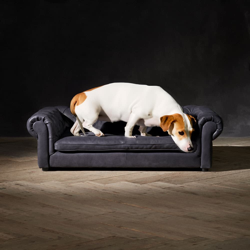 Timothy Oulton Westminster Large Dog Bed